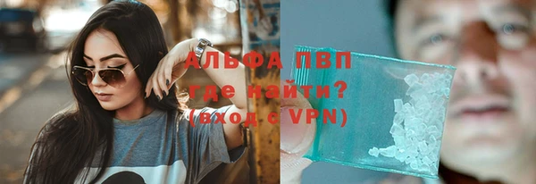 ешки Бородино