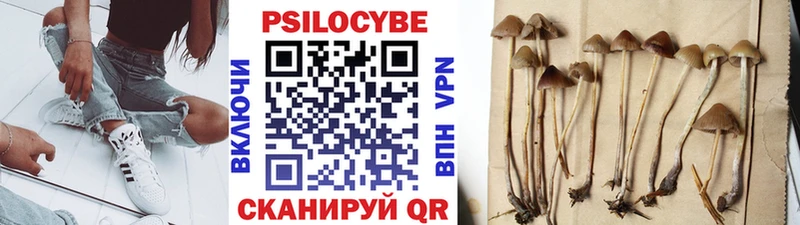 где купить наркоту  Киренск  Псилоцибиновые грибы GOLDEN TEACHER 